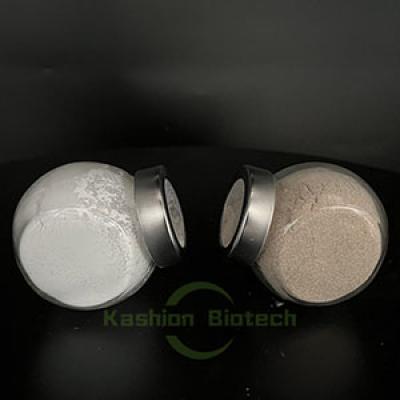 Wastewater Treatment Bio Aerobic Bacteria 