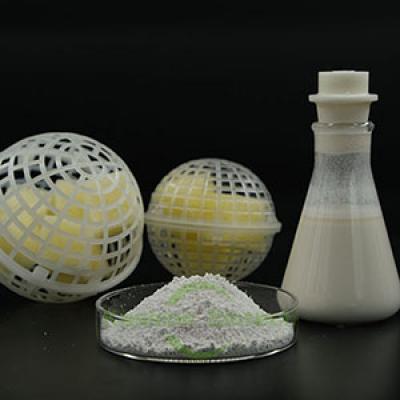 Wholesale Sewage Phosphorus Removal Treatment Aerobic Bacteria Enzymes